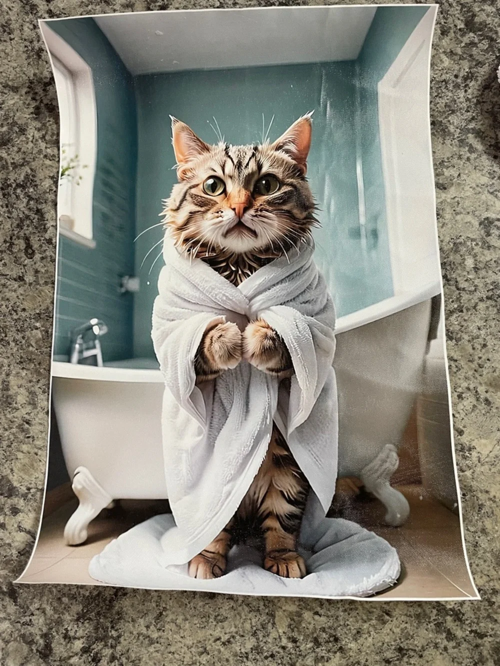 Faux canvas bathroom art. Very cute picture , in a frame or just the poster.